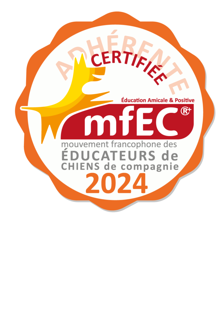 Macaron certification MFEC 2024
